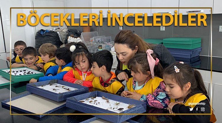 AtaÇocuklu miniklerden ‘Böcek Müzesi’ne ziyaret