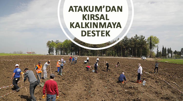 Atakum Belediyesi kırsal üretime güç verdi