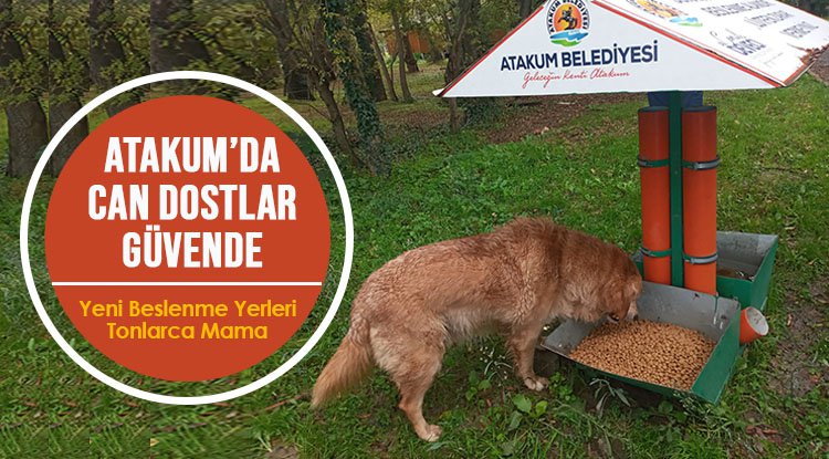 Atakum'dan patili dostlara yıl boyunca destek