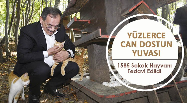 Can dostlar burada çok mutlu