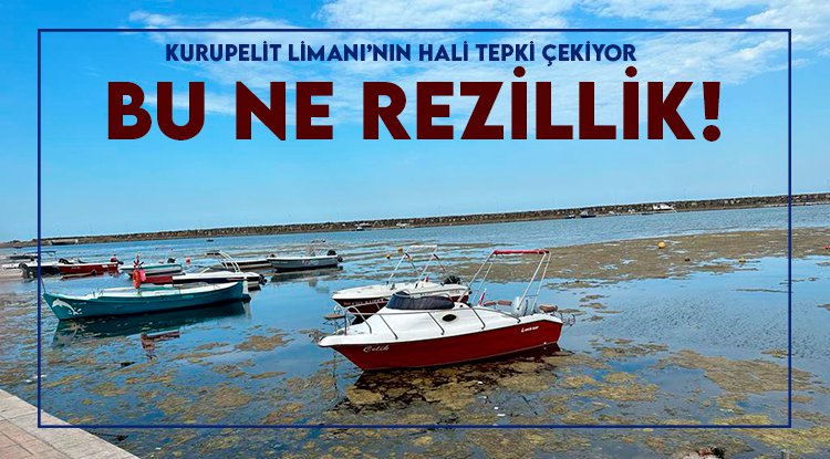 CHP’li Çan’dan Başkan Demir’e Kurupelit tepkisi