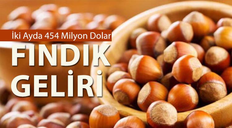 Fındık yüz güldürdü