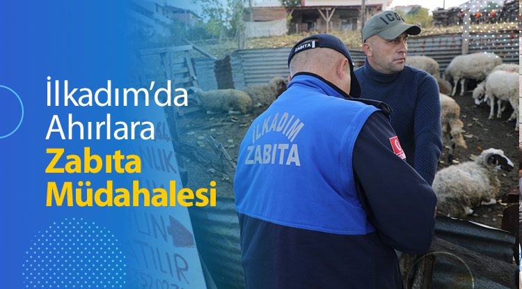 İlkadım'da ahırlara zabıta müdahelesi