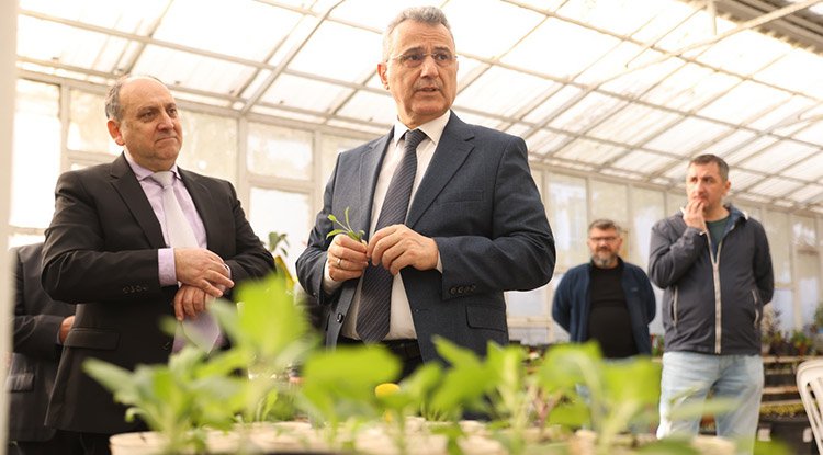 İlkadım'da aromatik bitkiler yaygınlaşıyor