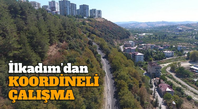 İlkadım'da koordineli çalışma