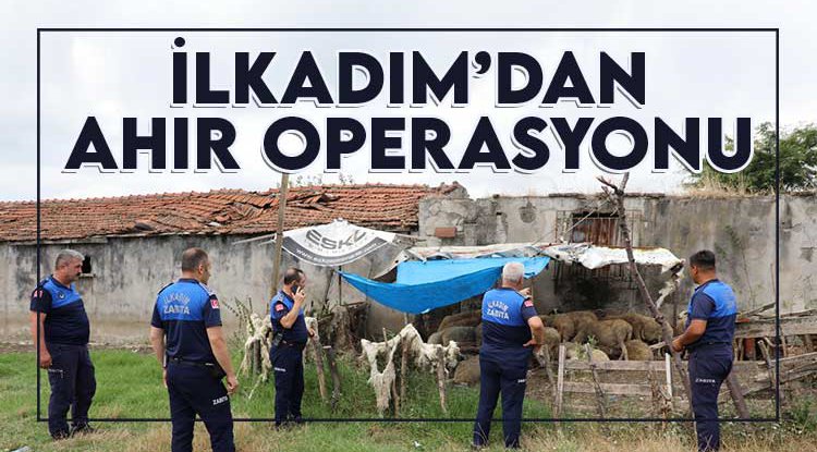 İlkadım'dan ahır operasyonu