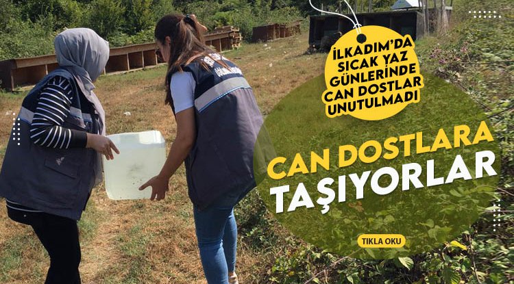 İlkadım'dan can dostlara su ve mama takviyesi