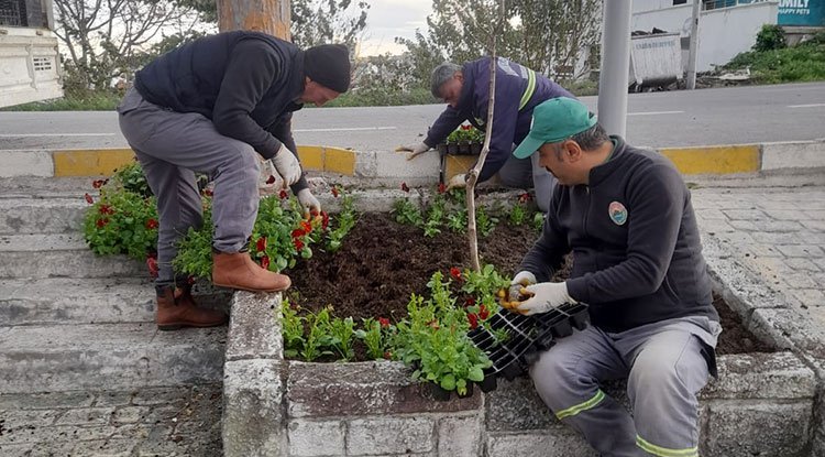 İLKADIM MEVSİMLİK ÇİÇEKLERLE DONATILIYOR