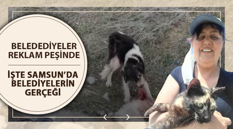 İşte Samsun'da belediyelerin gerçeği