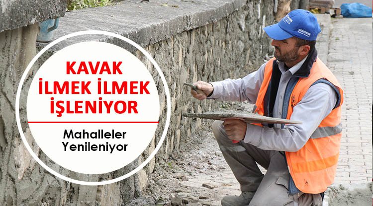 Kavak ilmek ilmek işleniyor