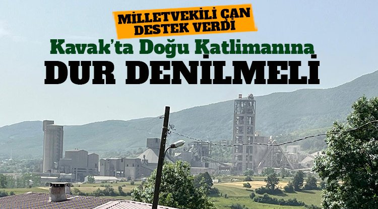 Kavak Köseli’deki doğa katliamına dur denilmeli