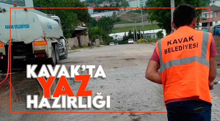 Kavak yaza hazırlanıyor