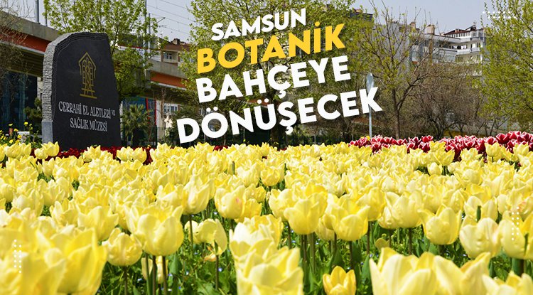 Samsun botanik bahçeye dönecek