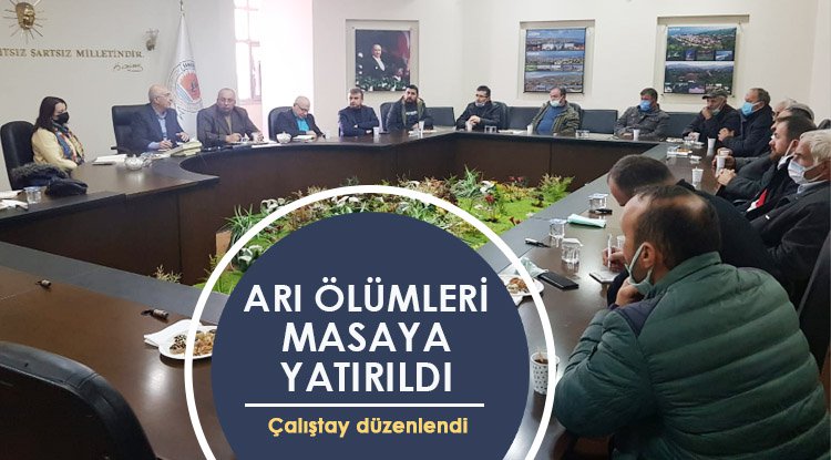 Samsun'da arı ölümleri masaya yatırıldı