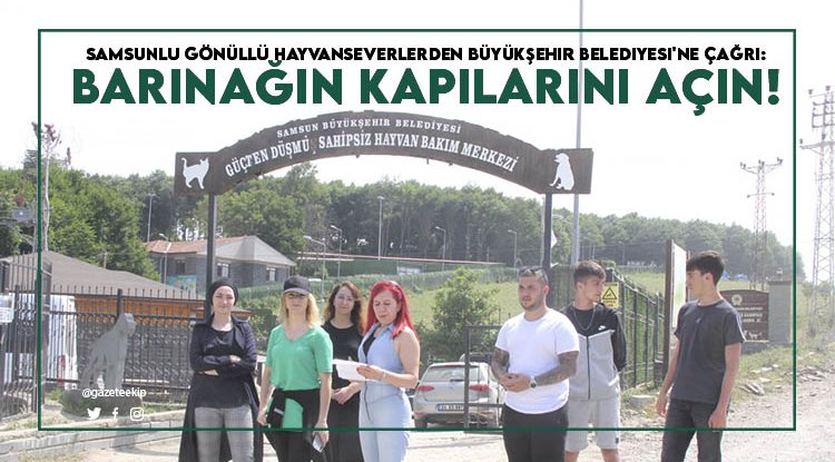 Samsun'da barınak gönüllülere 2,5 yıldır neden kapalı?