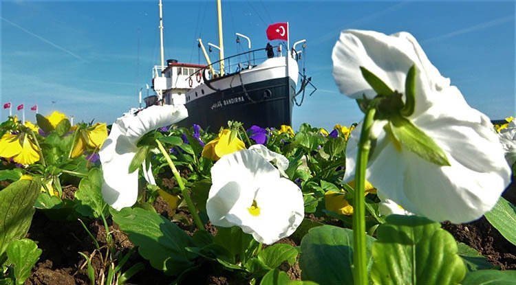 Samsun'da Büyükşehir'den 'Yeşil Seferberlik'