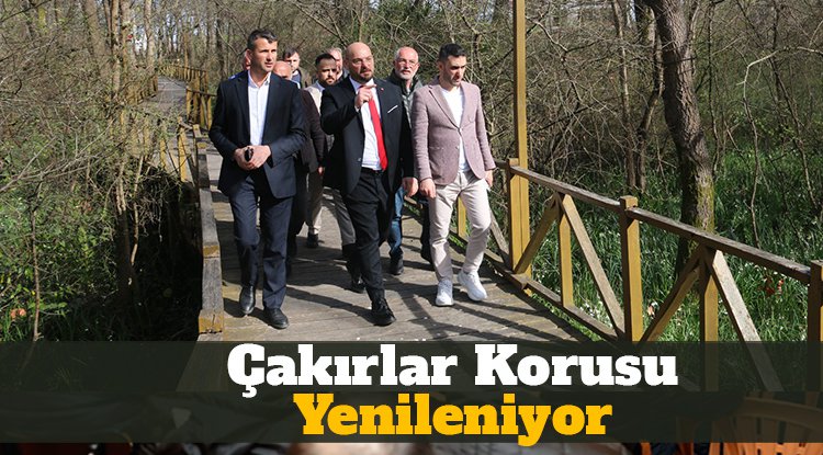 Samsun'da Çakırlar Korusu yenileniyor
