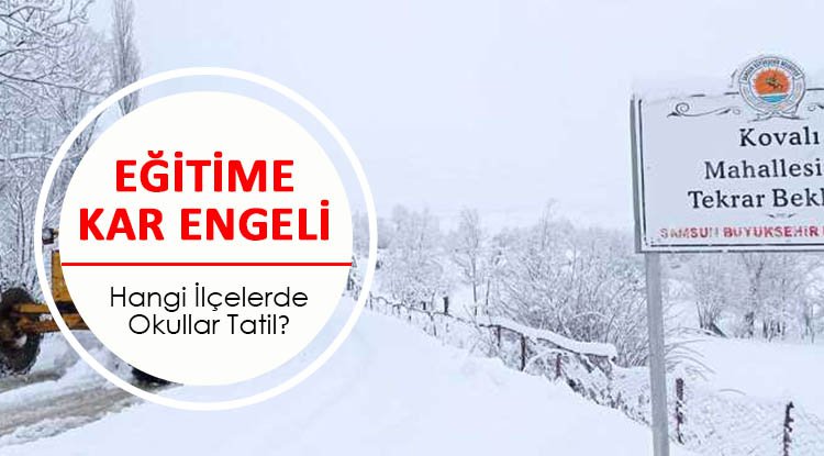 Samsun'da okullara kar tatili