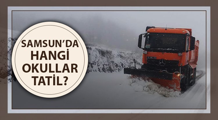 Samsun'da okullara kar tatili