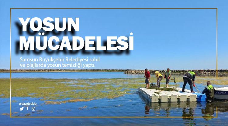 Samsun'da sahillerde yosun temizliği