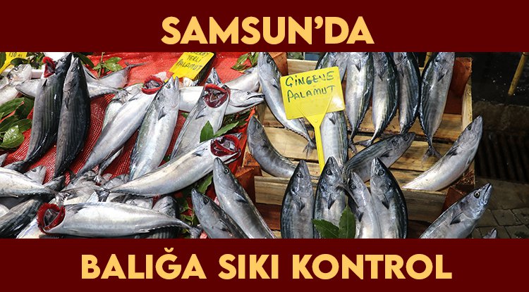 Samsun'da su ürünlerine sıkı denetim