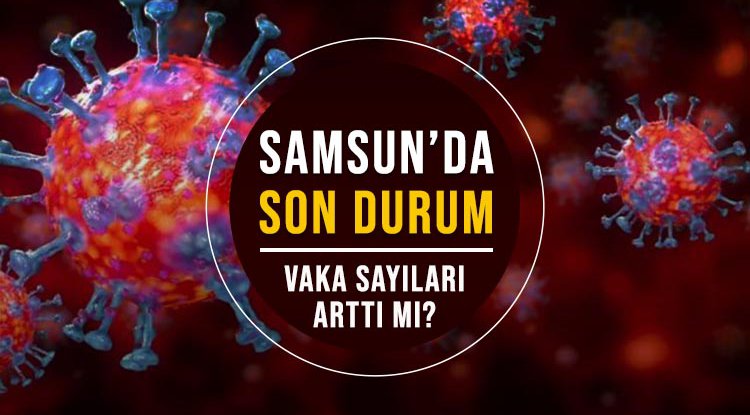 Samsun'da vaka sayısı ne kadar?
