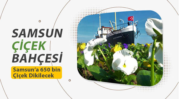 Samsun kışın da çiçek bahçesi
