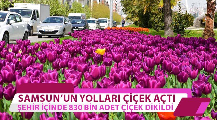 Samsun'un yollarında çiçek şöleni