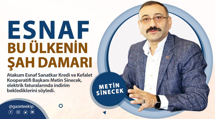 Sinecek: Elektrik faturalarında indirim bekliyoruz