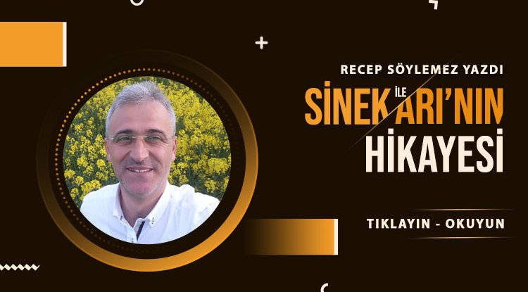 Sinek ile Arı'nın hikayesi...
