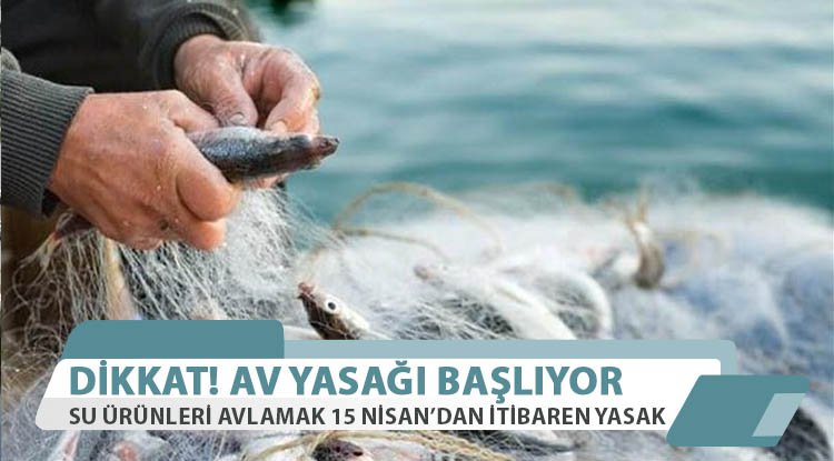 Su ürünlerinde av yasağı başlıyor