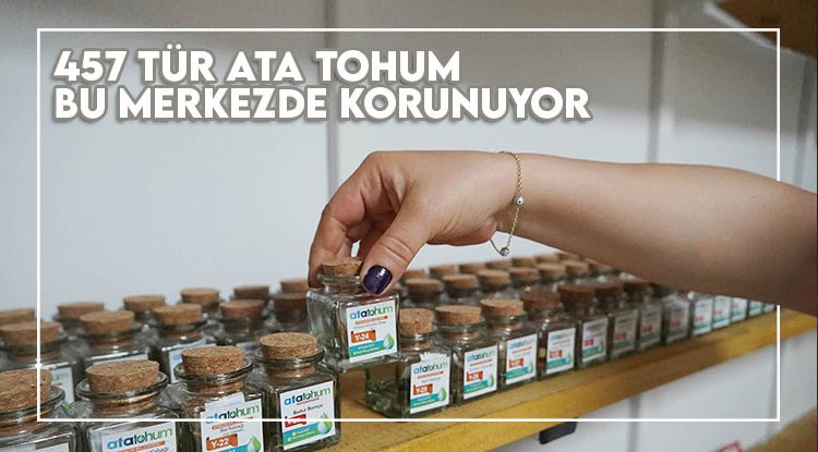457 tür Ata Tohum bu merkezde korunuyor