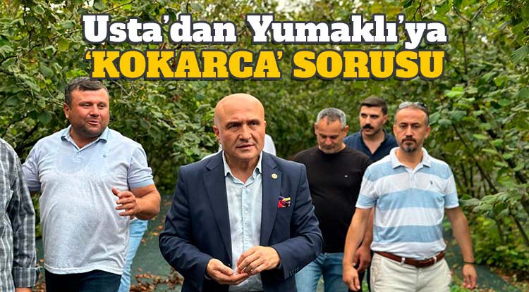 Usta'dan Yumaklı'ya kokarca sorusu