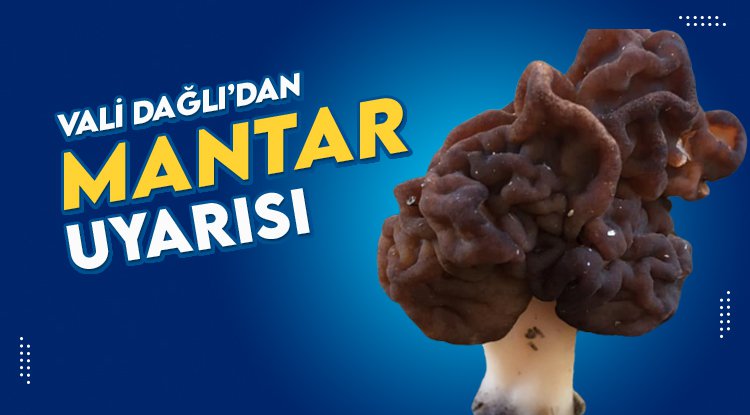 Vali Dağlı'dan zehirli mantar uyarısı
